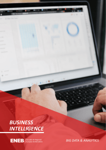 Business Intelligence: Gu&iacute;a Completa para el An&aacute;lisis de Datos