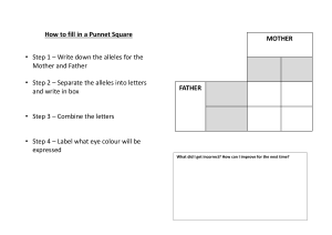 How to Fill a Punnet Square: Genetics Worksheet