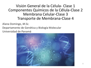Presentaci&oacute;n de Biolog&iacute;a Celular