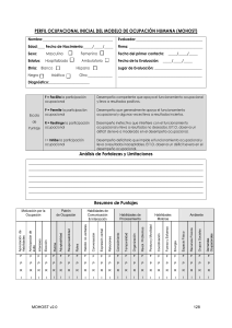 Perfil Ocupacional Inicial MOHOST: Formulario de Evaluaci&oacute;n