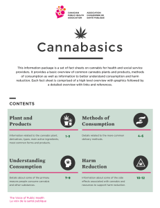 Cannabasics: Cannabis Fact Sheets for Health Providers