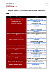 Planilha PPL 2.0: Exerc&iacute;cios e Substitui&ccedil;&otilde;es de Treino