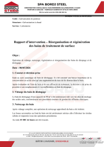 Rapport d'intervention : R&eacute;organisation et r&eacute;g&eacute;n&eacute;ration bains traitement surface