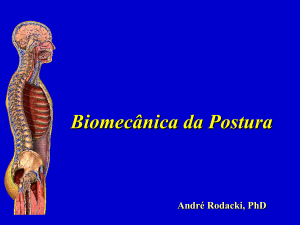 Biomec&acirc;nica da Postura - Andr&eacute; Rodacki, PhD