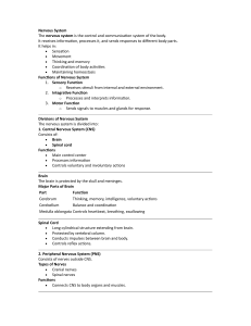 Nervous System: Structure and Functions