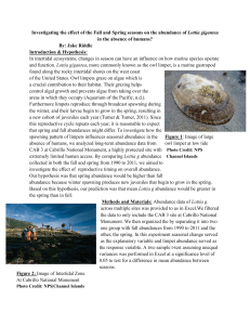Owl Limpet Abundance: Fall vs. Spring Seasonal Effect