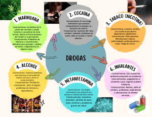 Drogas: Caracter&iacute;sticas y Consecuencias de las Drogas