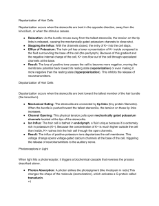 BIO NOTEs