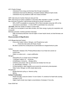 Trophic Energy & Biogeochemical Cycles Study Guide