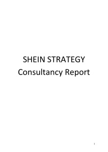 Shein Strategy Consultancy Report: Analysis of Business Model and Risks