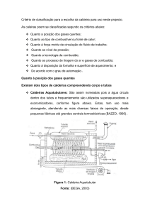 Crit&eacute;rios de Classifica&ccedil;&atilde;o de Caldeiras para Projetos