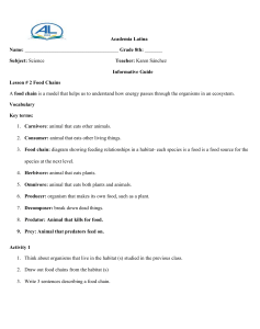 8th Grade Food Chains Lesson Guide