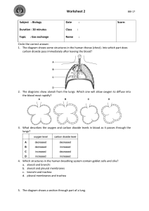 Biology Worksheet 2: Gas Exchange