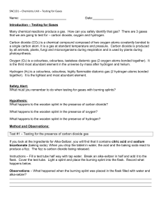 SNC1D1 Chemistry: Testing for Gases Lab Worksheet