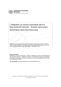 L'int&eacute;gration du secteur automobile au Maroc : Analyse input-output