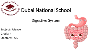 Grade 4 Science: Digestive System Lesson