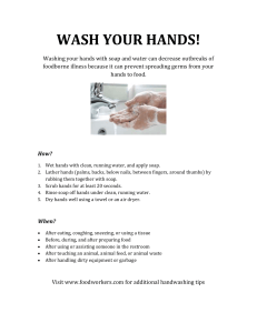 Handwashing Guide for Food Safety