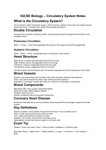 IGCSE Biology Circulatory System Notes
