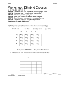 Dihybrid Crosses Worksheet: Genetics Practice Problems