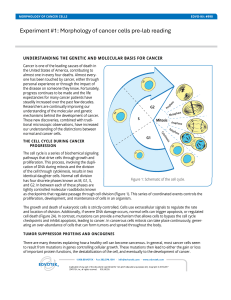 Morphology of Cancer Cells Pre-lab Reading