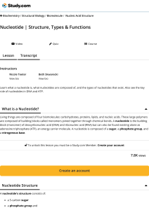 Nucleotide Structure, Types & Functions | Study.com