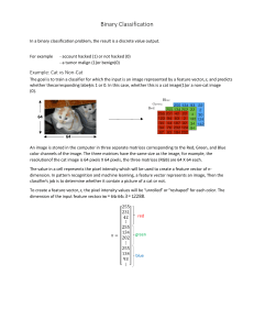 Binary Classification: Cat vs Non-Cat Example