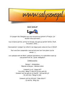 Dictionnaire Wolof : Expressions et Phrases Utiles