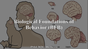 Biological Foundations of Behavior Lecture Notes