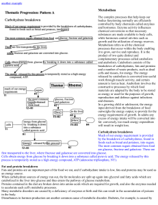 Metabolism: Carbohydrate, Fat, and Protein Breakdown