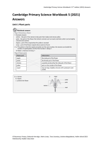 workbook-5-answers