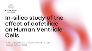 In-silico Study of Dofetilide on Human Ventricle Cells