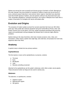 Spiders: Anatomy, Evolution, and Ecology