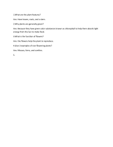 Plant Biology Quiz: Features, Chlorophyll, Flowers, Non-Flowering Plants