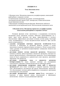 Лекция 11: Биохимия почек