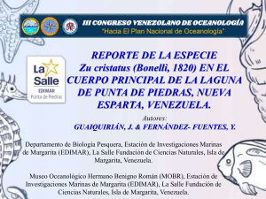 Reporte de Zu cristatus en la Laguna de Punta de Piedras, Venezuela