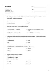 10 IGCSE Excretion Worksheet