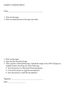 Sample Answer Sheet for Animal Drawing Task