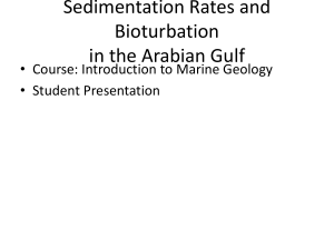 Sedimentation Rates and Bioturbation in the Arabian Gulf
