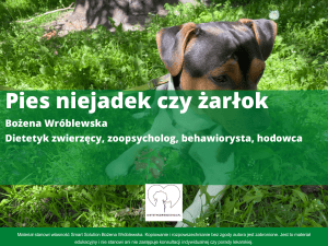 Pies niejadek czy żarłok: Poradnik żywieniowy dla ps&oacute;w