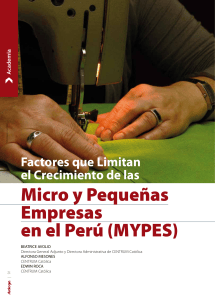 Factores que limitan el crecimiento de las MYPES en Per&uacute;