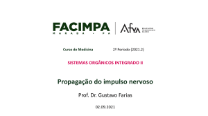 Propaga&ccedil;&atilde;o do Impulso Nervoso - Aula de Medicina