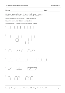 Cambridge Primary Maths Stage 4 Stick Patterns Worksheet