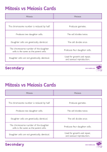 Mitosis vs Meiosis Comparison Chart
