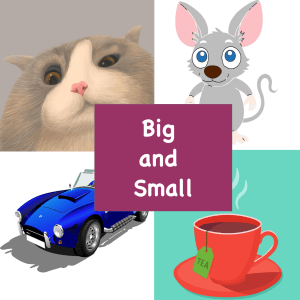 Big and Small: Learn Sight Words for Kids