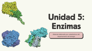 Unidad 5: Enzimas - Biolog&iacute;a