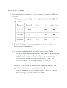Enzyme Kinetics Assignment: Km, Vmax, kcat Calculations