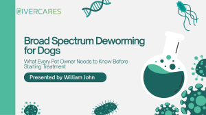 Broad Spectrum Deworming for Dogs: What Pet Owners Need to Know