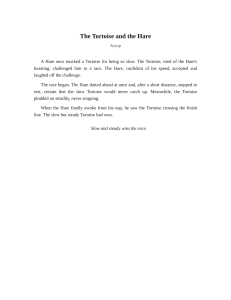 The Tortoise and the Hare: Aesop's Fable