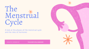 The Menstrual Cycle: Phases & Hormones