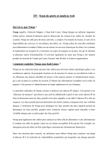 TP : Scan de ports et analyse web avec Nmap et WPScan